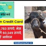 Pashu Kisan Credit Card Rs 40,783 will be given for cow, Rs 60,249 for buffalo, apply like this