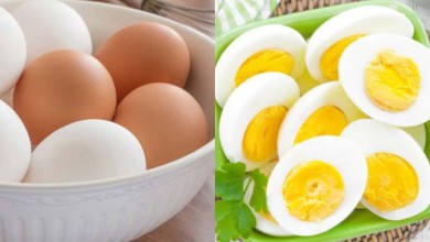 Eggs For Weight Loss Diet You can lose weight by eating eggs, know these important tips