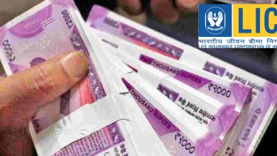 LIC Scheme LIC is giving 20 lakh rupees to customers, you can also avail benefits sitting at home, know full details
