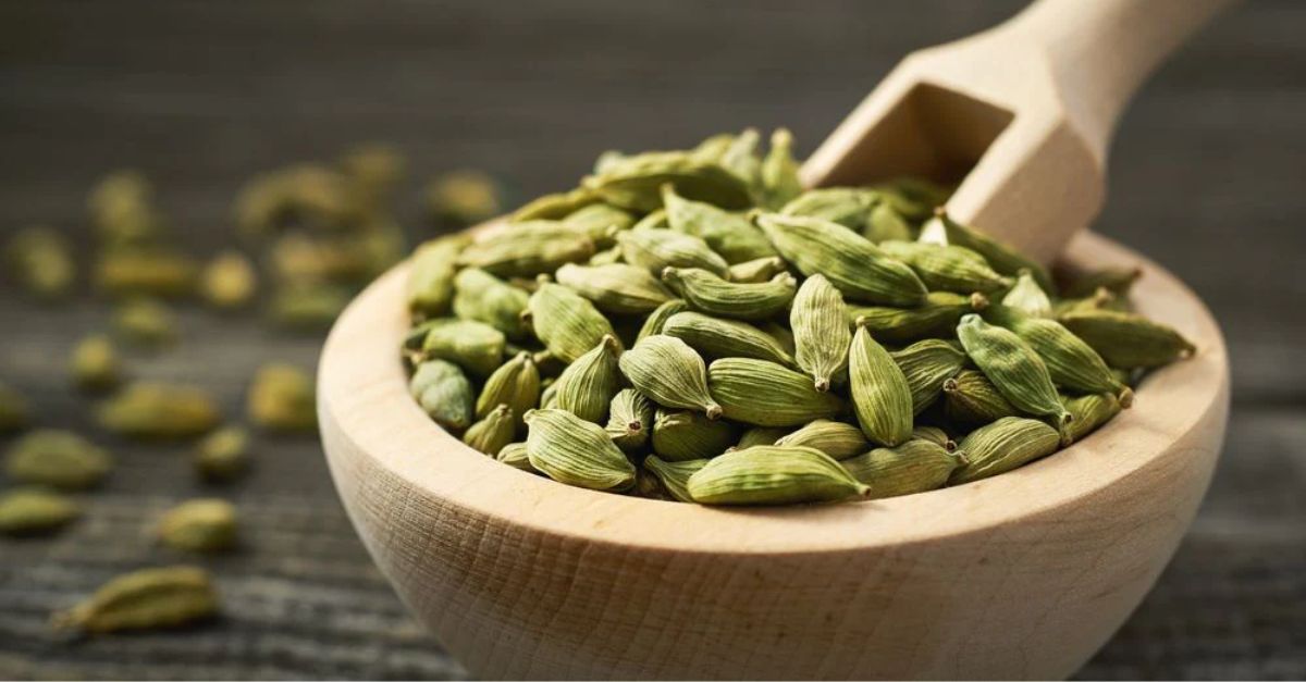 Benefits of Cardamom Know how small cardamom helps in curing many diseases along with high BP, you will get benefits