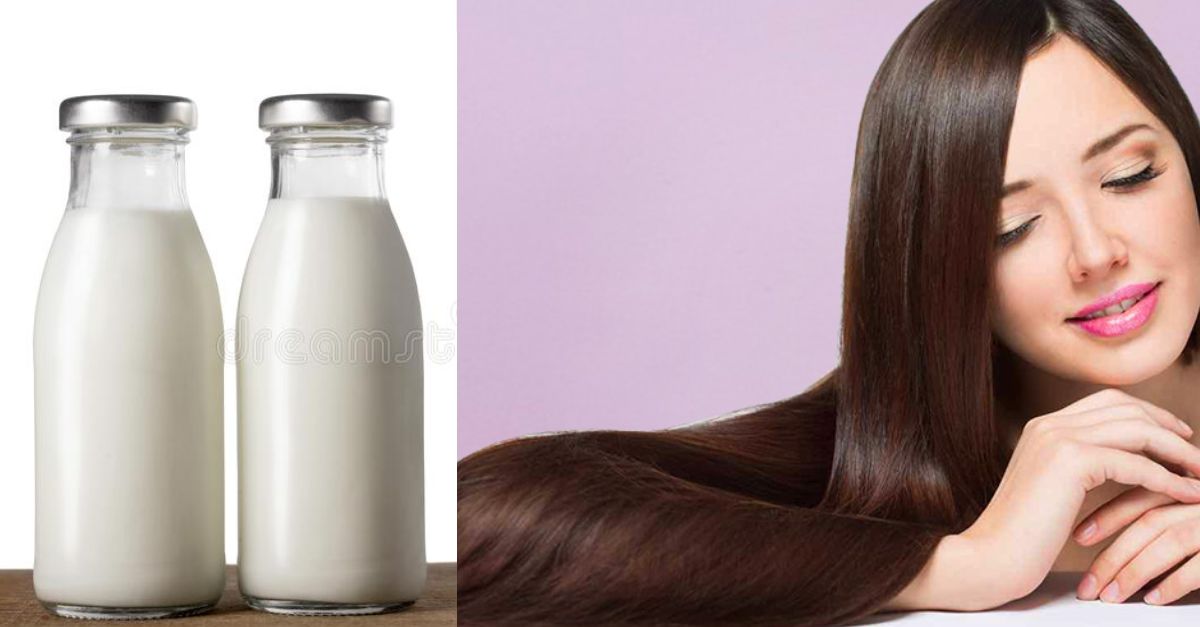 Hair Care Tips Troubled by dry lifeless hair So use raw milk, the difference will be seen after a hair wash