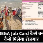 MNREGA Job Card कैसे बनवाये, नरेगा जॉब कार्ड से कैसे मिलेगा रोजगार, जानें