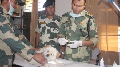 BSF Recruitment 2022 for 20 posts of Veterinary Assistant Surgeon in Border Security Force, know details