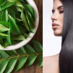 Benefits of Curry Leaves for Hair All hair problems will be overcome by curry leaves, know how to use them
