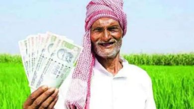 PM Kisan Government can give a big gift to the farmers on the new year, so much money will come in the bank account