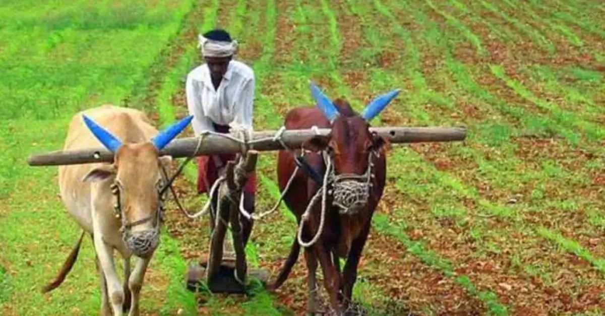 PM Kisan Maandhan Yojana In this scheme, the government is giving Rs 3,000 to the farmers every month, know how to apply