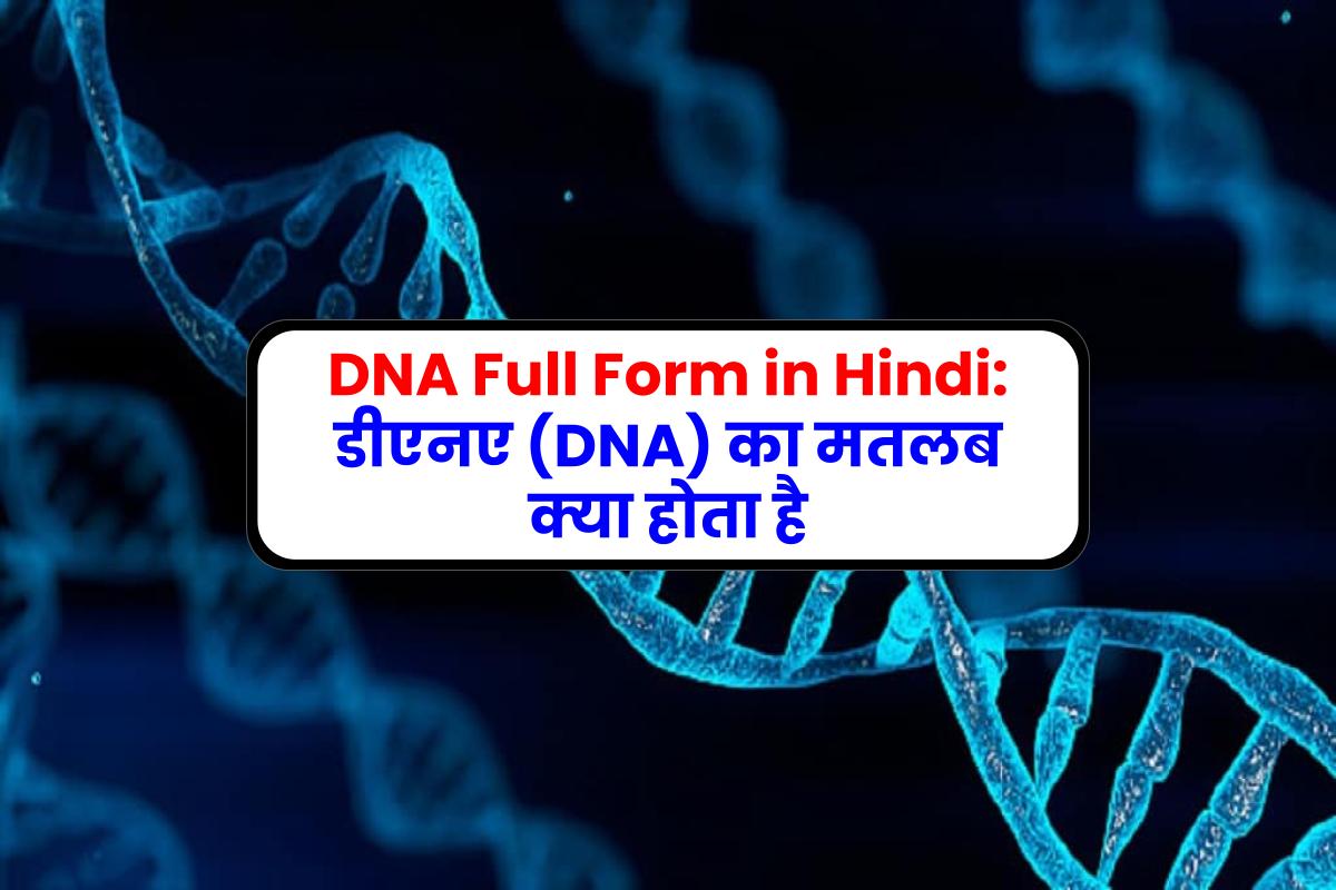 DNA Full Form in Hindi: डीएनए (DNA) का मतलब क्या होता है