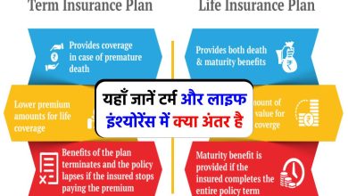 Difference Between Term Insurance and Life Insurance: टर्म इंश्योरेंस और लाइफ इंश्योरेंस में अंतर है जानते हैं क्या आप ? देखें