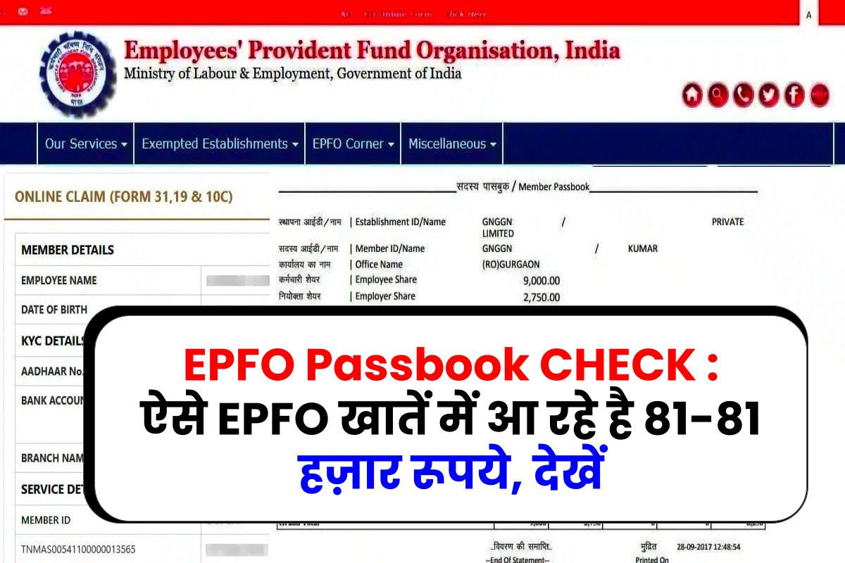 EPFO Passbook CHECK: ऐसे EPFO खातें में आ रहे है 81-81 हज़ार रूपये, देखें