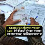 Gram Panchayat Voter List: ऐसे निकालें पुरे ग्राम पंचायत की वोटर लिस्ट, ऑनलाइन मिनटों में