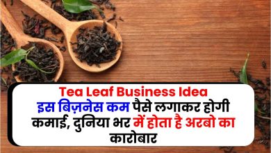 Tea Leaf Business Idea : इस बिज़नेस कम पैसे लगाकर होगी कमाई, दुनिया भर में होता है अरबो का कारोबार