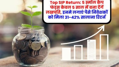 Top SIP Return: 5 स्‍मॉल कैप फंड्स केवल 5 साल में बना देंगें लखपति, इनमे लगाएं पैसे निवेशकों को मिला 31-42% सालाना रिटर्न