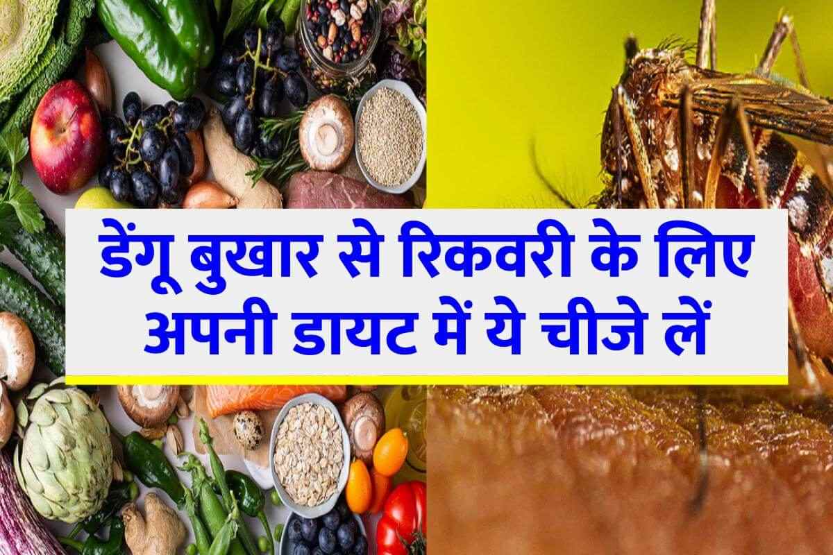 health-diet-in-dengue-fever-these-food-items-in-diet
