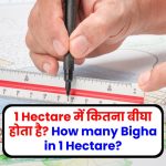1 Hectare में कितना बीघा होता है? How many Bigha in 1 Hectare?