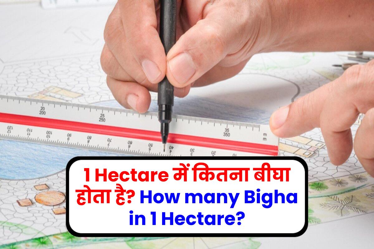 1 Hectare में कितना बीघा होता है? How many Bigha in 1 Hectare?