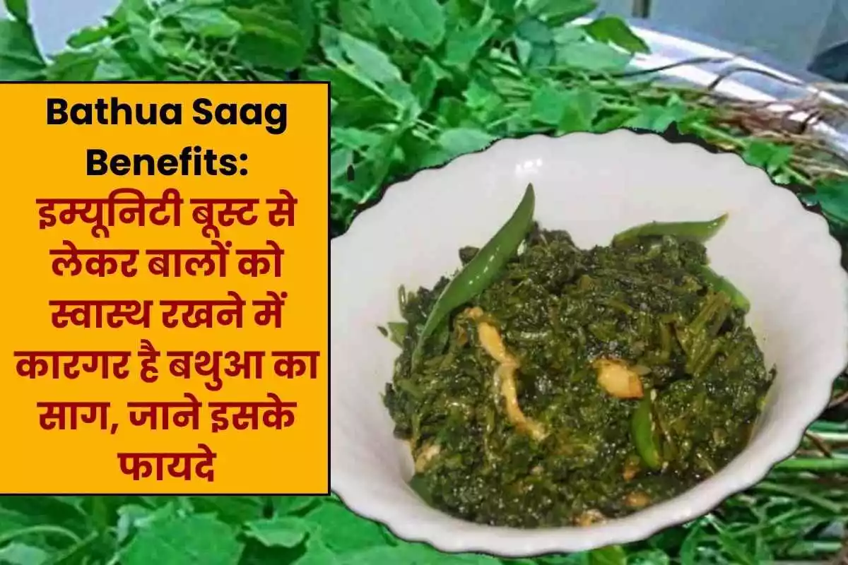 Bathua Saag is effective in boosting immunity and keeping hair healthy, know its benefits