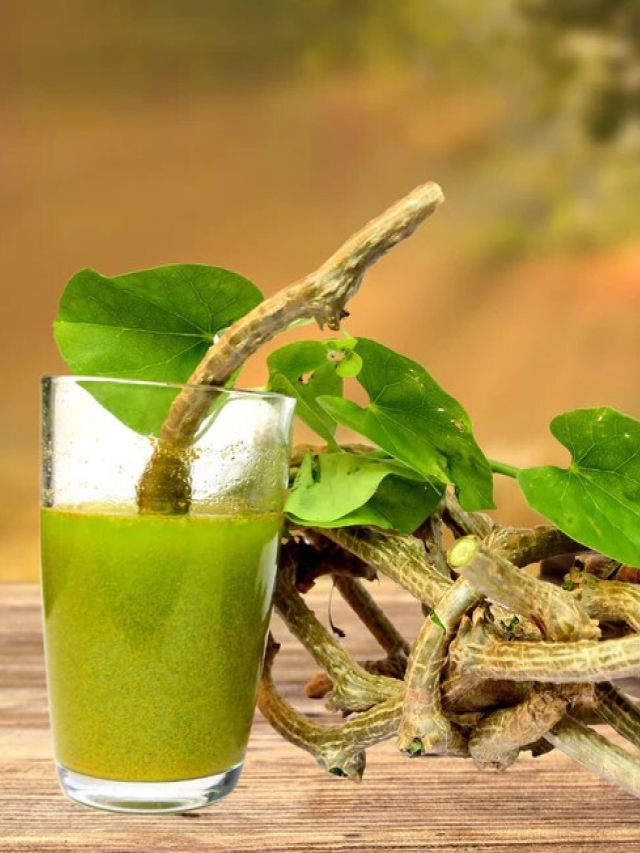 Giloy juice is the biggest enemy of diabetes, know its benefits