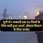 UP Weather Update Alert issued for 25 districts in UP till January 1, Meteorological Department gave update