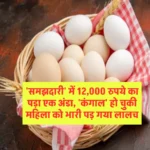 'समझदारी' में 12,000 रुपये का पड़ा एक अंडा, 'कंगाल' हो चुकी महिला को भारी पड़ गया लालच
