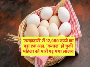 'समझदारी' में 12,000 रुपये का पड़ा एक अंडा, 'कंगाल' हो चुकी महिला को भारी पड़ गया लालच